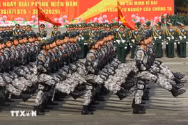 Más de 10 mil personas participan en ensayo del desfile por el aniversario de la reunificación nacional