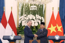 El secretario general del Partido Comunista de Vietnam, To Lam (izquierda), y el presidente indonesio, Prabowo Subianto (Foto: VNA)