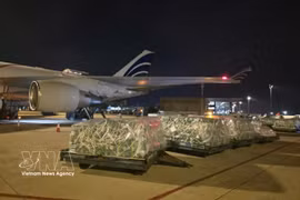 Los envíos se descargan en el aeropuerto. (Foto: VNA)
