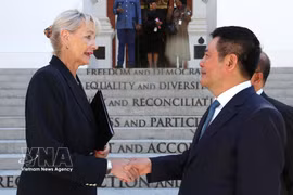 El vicepresidente de la Asamblea Nacional de Vietnam Nguyen Hong Dien se reúne con su homóloga del Parlamento sudafricano, Annelie Lotriet. (Foto: VNA)