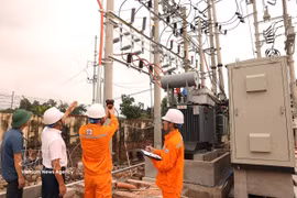 Trabajadores de EVNNPC inspeccionan y asesoran a las empresas sobre el uso seguro, económico y eficiente de la electricidad. (Foto: VNA)
