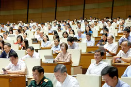 Delegados participantes en la cita (Foto: VNA)