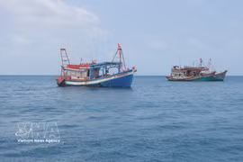 Ca Mau cuenta con más de 5.200 embarcaciones pesqueras, de las cuales cerca de 1.900 superan los 15 metros de eslora. (Foto: VNA)