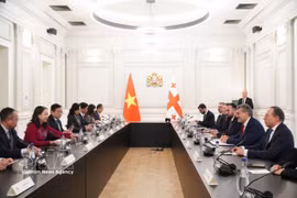 La vicepresidenta de Vietnam, Vo Thi Anh Xuan, se reúne con el presidente de Georgia, Mikheil Kavelashvili. (Foto: VNA)