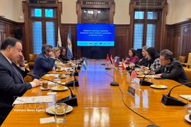 Panorama de la reunión (Foto: VNA)