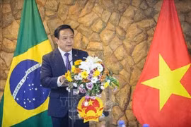 El embajador de Vietnam en Brasil y concurrente en Guyana, Bui Van Nghi, interviene en la cita (Foto: VNA)