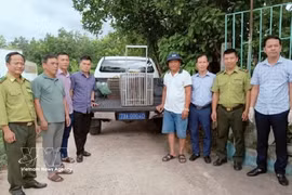 Cinco ejemplares de fauna silvestre rara y amenazada fueron entregados al Centro de Rescate, Conservación y Desarrollo de Organismos del Parque Nacional de Phong Nha-Ke Bang. (Foto: VNA)