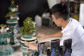 Impulsan transformación digital al servicio del desarrollo económico en localidades vietnamitas