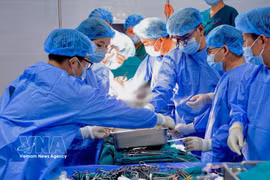 El Hospital Central de Hue realiza un trasplante de riñón utilizando la tecnología de conservación de órganos LifePort. (Foto: VNA)