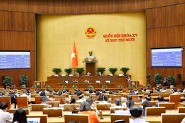 Panorama de la cita (Foto: VNA)
