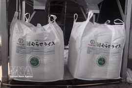 Un cargamento de arroz Japonica certificado como “Arroz Verde Vietnamita de Bajas Emisiones” exportado a Japón (Foto: VNA)