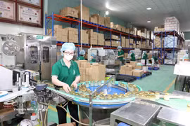 Una línea de fabricación de productos de nidos de salangana en la provincia de Khanh Hoa. (Foto: VNA)