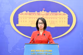 La portavoz del Ministerio de Relaciones Exteriores de Vietnam, Pham Thu Hang. (Foto proporcionada por la cartera)