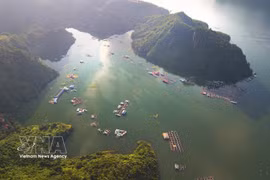 Con su majestuoso paisaje, el embalse hidroeléctrico de Hoa Binh se ha convertido en un destino imperdible para los turistas en la provincia de Phu Tho. (Foto: VNA)