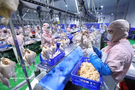 Una línea de procesamiento de aves de corral en la fábrica de Green Chicken (Foto: VNA)