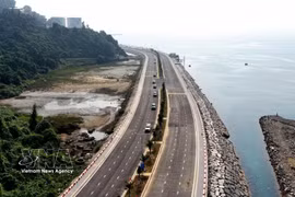 Da Nang impulsa economía marítima como pilar de su estrategia de crecimiento sostenible