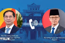 El viceprimer ministro y canciller de Vietnam, Bui Thanh Son, mantuvo conversaciones telefónicas con el ministro de Relaciones Exteriores de Indonesia, Sugiono, el 10 de febrero (Foto: VNA)