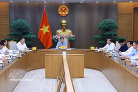 Panorama de la cita. (Foto: VNA)
