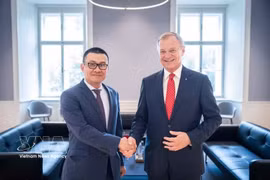El embajador de Vietnam en Austria, Vu Le Thai Hoang, se reúne con el gobernador del estado de Alta Austria, Thomas Stelzer. (Foto: VNA)