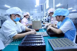 Ensamblaje de componentes electrónicos en la empresa Bao Sen, ubicada en la provincia de Bac Giang. (Foto: VNA)