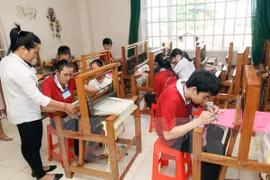 Una clase de capacitación vocacional para los discapacitados (Foto: VNA)