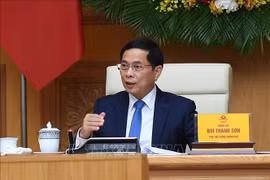 El viceprimer ministro y canciller de Vietnam, Bui Thanh Son (Foto: VNA)