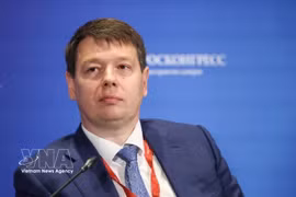 El viceministro de Desarrollo Económico de Rusia, Ilyichev Vladimir Evgenievich (Foto: VNA)