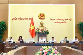 Panorama de la cita (Foto: VNA)