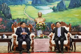 El viceprimer ministro de Vietnam Nguyen Chi Dung (izquierda), se reúne con el secretario general del Partido Popular Revolucionario y presidente de Laos, Thongloun Sisoulith (Foto: VNA)