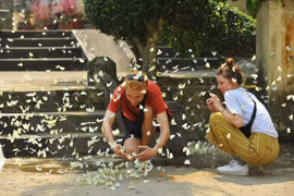 Turismo en Vietnam: experiencias ecológicas y viajes sostenibles