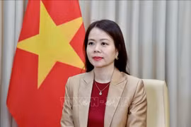 La viceministra de Relaciones Exteriores Nguyen Minh Hang (Foto: VNA)