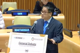 El ministro consejero Nguyen Hai Luu, representante permanente adjunto de Vietnam ante la ONU, interviene en la sesión. (Foto: VNA)