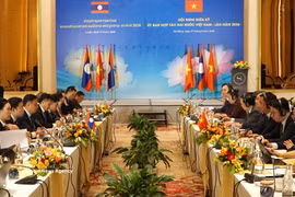Panorama de la cita (Foto: VNA)