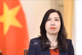 La viceministra vietnamita de Relaciones Exteriores Le Thi Thu Hang (Foto: VNA)
