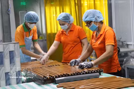 Trabajadores de la empresa Cau Ke (Vicosap), en la comuna de Tam Ngai, provincia de Vinh Long, procesan productos derivados del macapuno. (Foto: VNA)