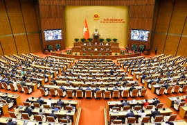 Panorama de la reunión (Foto: VNA)