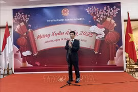 El embajador de Vietnam en Indonesia, Ta Van Thong, habla en el evento. (Foto: VNA)