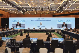 Panorama de la cita. (Foto: VNA)