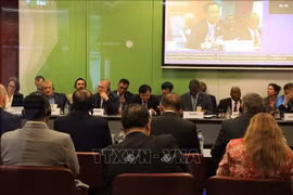 El viceministro Nguyen Hoang Hiep asiste a la Plataforma Global para la Reducción del Riesgo de Desastres (GP2025) en Ginebra, Suiza, el 4 de junio. (Foto: VNA)