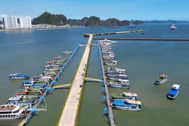 Puerto Internacional de Ha Long, en la provincia de Quang Ninh (Foto: VNA)