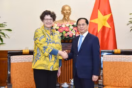 El viceprimer ministro y titular de Relaciones Exteriores, Bui Thanh Son, recibe a la embajadora de Alemania en Vietnam, Helga Margarete (Foto: VNA)