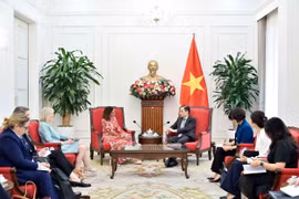 Panorama de la cita (Foto: Cancillería de Vietnam)
