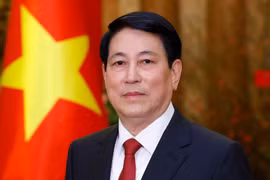 El presidente de Vietnam, Luong Cuong (Foto: VNA)