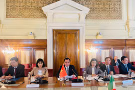 Funcionarios de la delegación vietnamita en una reunión bilateral. (Foto: Ministerio de Asuntos Étnicos y Religiosos de Vietnam)