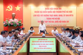 Panorama de la cita. (Foto: VNA)