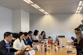 La delegación vietnamita y representantes de Suiza debaten temas clave durante la 19.ª ronda de negociaciones del TLC entre Vietnam y la Asociación Europea de Libre Comercio. (Foto: VNA)