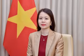 Nguyen Minh Hang, viceministra de Relaciones Exteriores de Vietnam (Foto: Cancillería de Vietnam)