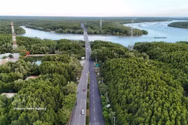 La zona forestal protegida de Can Gio abarca las comunas de Can Gio, Binh Khanh, An Thoi Dong y Thanh An, lo que crea un potencial significativo para el desarrollo del mercado de créditos de carbono. (Foto: VNA)