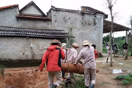 Un equipo del Grupo Asesor de Minas (MAG) detectó y desactivó con éxito una bomba sin explotar de casi 230 kilogramos en el jardín de una familia en la aldea de Nguyen Son, comuna de Cu Nam, provincia de Quang Binh. (Foto: VNA)