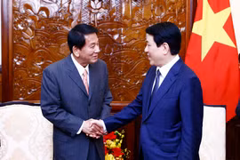 El presidente Luong Cuong (derecha) recibe a Sugi Ryotaro, exembajador especial Japón-Vietnam (Foto: VNA)